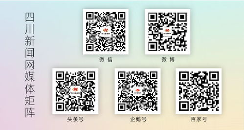 四川發布校外培訓機構廣告規范提示，數字內容制作服務需注意這些“紅線”