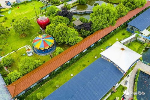 美海鹽鄉村旅游精品線榮登省級榜單，繪就詩畫田園新篇章