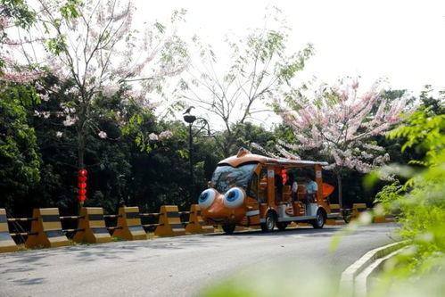 增城入選第三批廣東省文化和旅游特色村，鄉村旅游精品線路全新出爐
