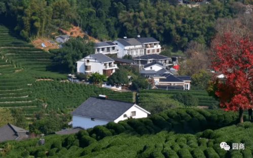 鄉村旅游開發運營中的誤區